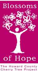 Blooming tree